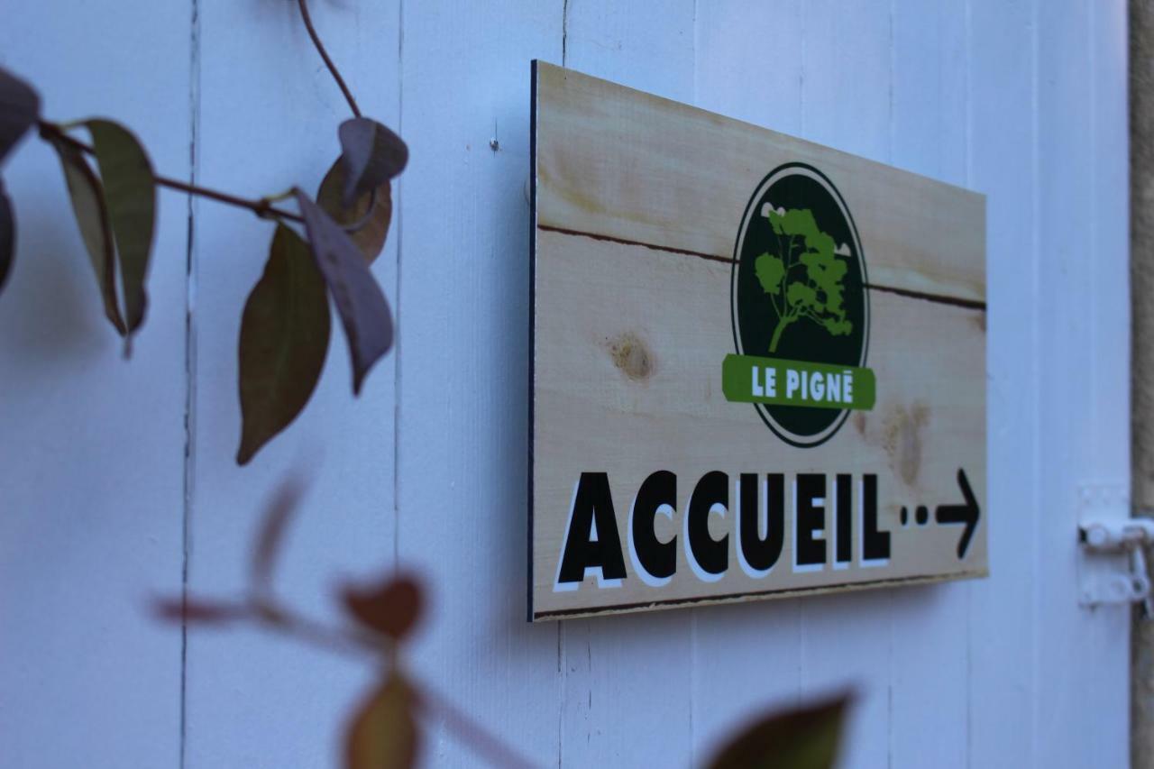 Gite Le Pigne Curbans Exterior foto